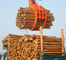 Powerful Excavator Grab Attachment Hydraulic Timber Grab / Excavators Wood Grapple dostawca